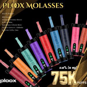 PLOOX X HOOKAH VAPE 75K